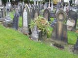 image of grave number 445633
